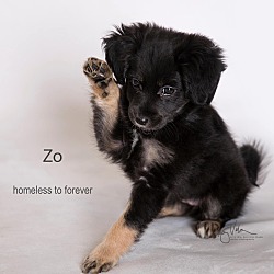 Thumbnail photo of Zo #2