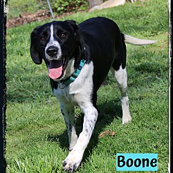 Thumbnail photo of Boone #4