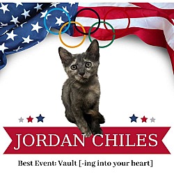 Thumbnail photo of Jordan Chiles #2