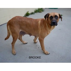 Thumbnail photo of Brooke #2