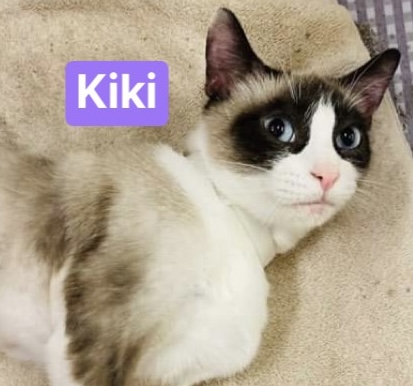 Photo of Kiki