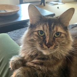 Photo of MOCHA