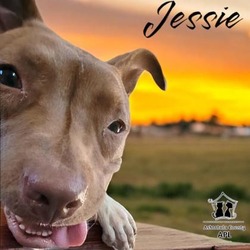 Thumbnail photo of Jessie #2