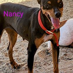 Thumbnail photo of Nancy #3