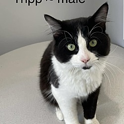 Photo of Tripp