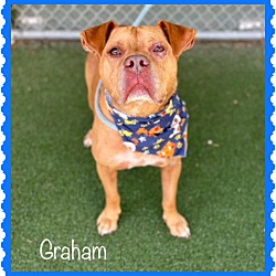 Thumbnail photo of GRAHAM #4