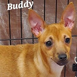 Photo of Buddy JM