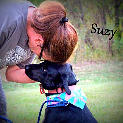 Thumbnail photo of Suzy ~ meet me~new pics~ #1