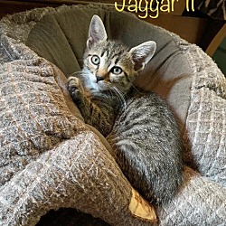 Photo of Jaggar II
