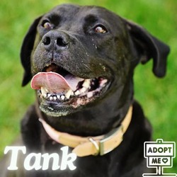 Photo of Tank