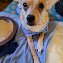 Photo of Lady 