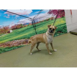 Photo of DAISY