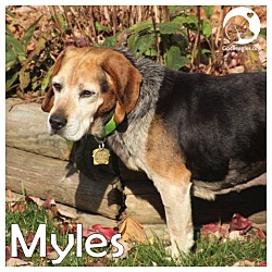 Thumbnail photo of Myles #1