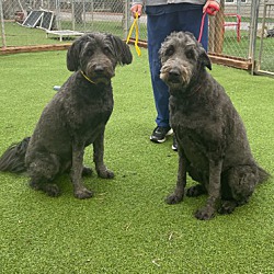 Photo of Tyra and Janie