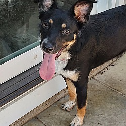 Photo of Lucy
