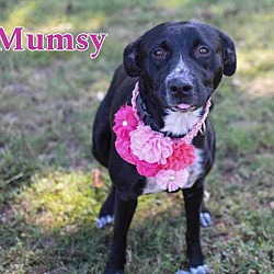 Photo of Mumsy