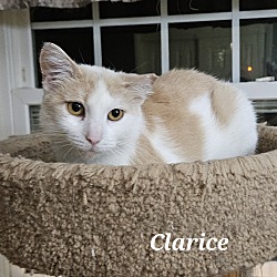 Photo of Clarice