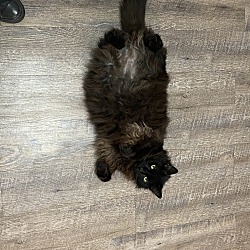 Photo of Jasper