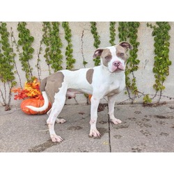 Photo of CASH