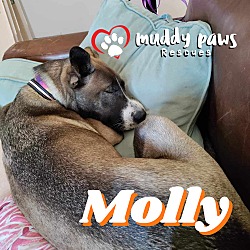 Thumbnail photo of Molly (Courtesy Post) #3