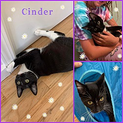 Thumbnail photo of Cinder #2