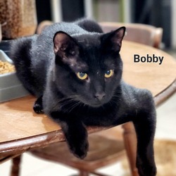 Thumbnail photo of Bobby #3