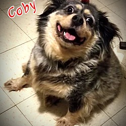 Thumbnail photo of Coby #1