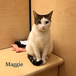 Thumbnail photo of Maggie #3