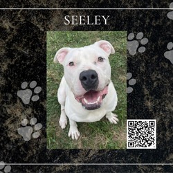 Photo of Seeley