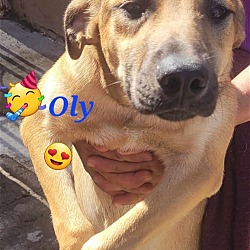 Photo of Oly