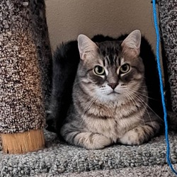 Photo of Jax