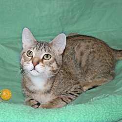Photo of Sterling
