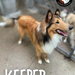 Thumbnail photo of Keeper #4