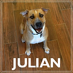 Photo of Julian - Check out Video!