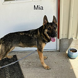 Thumbnail photo of Mia #2