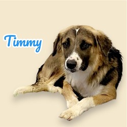 Thumbnail photo of Timmy #2