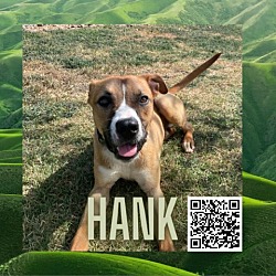 Photo of Hank