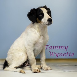 Thumbnail photo of Tammy Wynette D24-140 #2