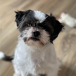 Photo of Nora