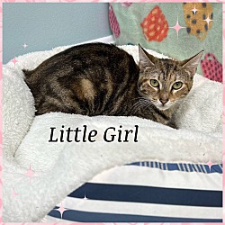 Thumbnail photo of Little Girl #1