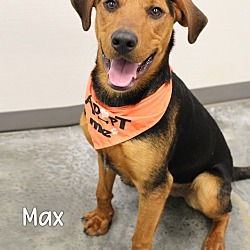 Thumbnail photo of Max #4