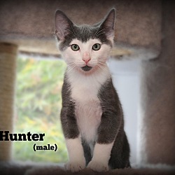 Thumbnail photo of Hunter #3