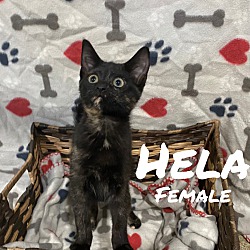 Photo of Hela
