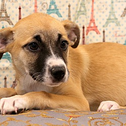 Thumbnail photo of Kiwi~ adopted! #2