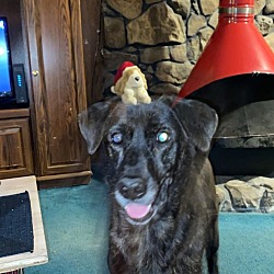 Photo of Cherokee
