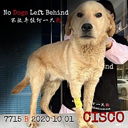 Photo of Cisco 7715