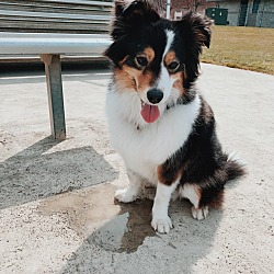 Photo of Dakota