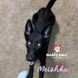 Thumbnail photo of Meishka (Courtesy Post) #3