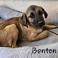 Photo of Benton