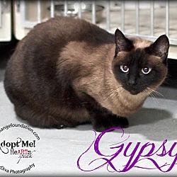 Thumbnail photo of Gypsy #2
